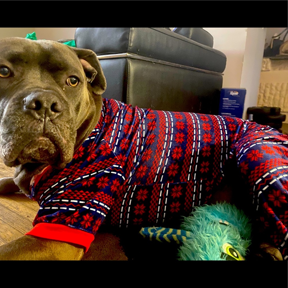 Doggy Pajamas